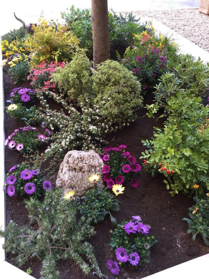 רומא B&B Gio Colosseo - Celio מראה חיצוני תמונה